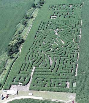 maze.jpg (21720 bytes)